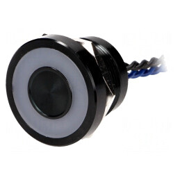 Comutator Piezoelectric SPST-NO 24V | Electronic-mag.ro | Componente Electronice