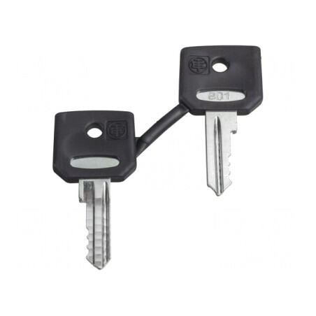 Set 2 Chei 22mm Harmony XB4 | Electronic-mag.ro | Componente Electronice