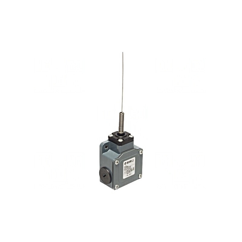 Limitator de cursă NO NC 10A 500VAC 250VDC PG13,5 FL 521 | Electronic-mag.ro | Componente Electronice