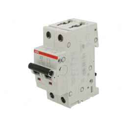 Întrerupător de Supracurent 13A 2 Poli 6kA 230/400VAC | Electronic-mag.ro | Componente Electronice
