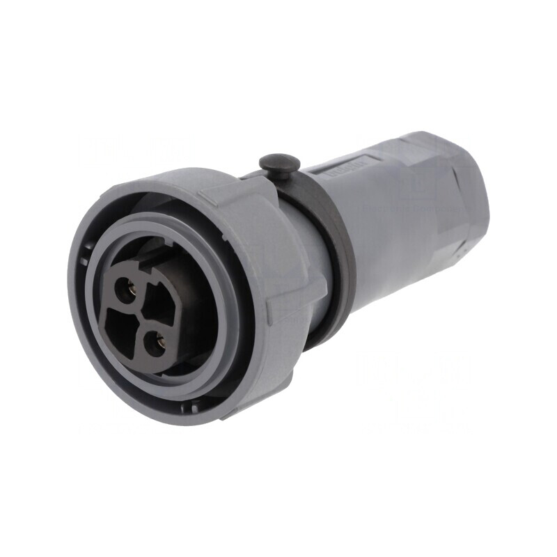 Conector Circular Mamă 2PIN Buccaneer 7000 Nichelat | Electronic-mag.ro | Componente Electronice Conector Circular Mamă 2PIN Buccaneer 7000 Nichelat | Electronic-mag.ro | Componente Electronice
