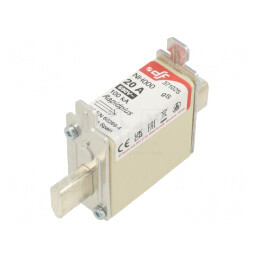 Siguranță gS 20A 690VAC 440VDC NH000 | Electronic-mag.ro | Componente Electronice