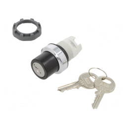 Comutator Rotativ cu Cheie 22mm Negru/Argintiu | Electronic-mag.ro | Componente Electronice