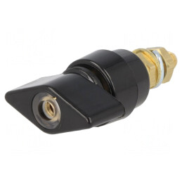 Clemă de laborator neagră 1kVDC 63A pe panou | Electronic-mag.ro | Componente Electronice