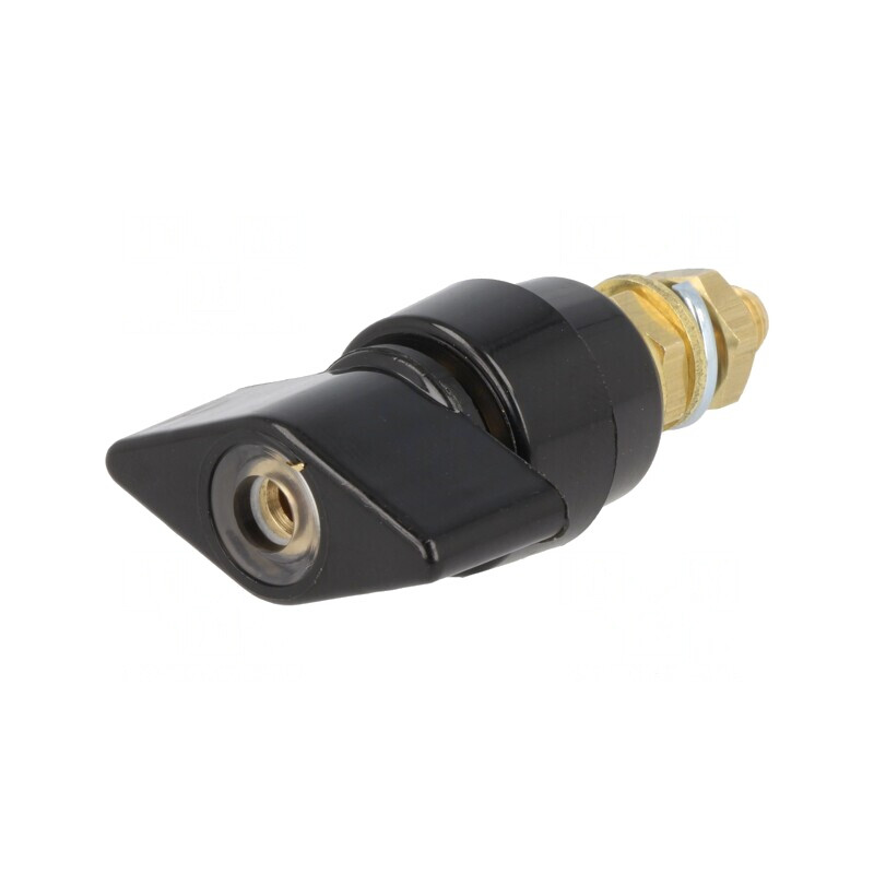 Clemă de laborator neagră 1kVDC 63A pe panou | Electronic-mag.ro | Componente Electronice