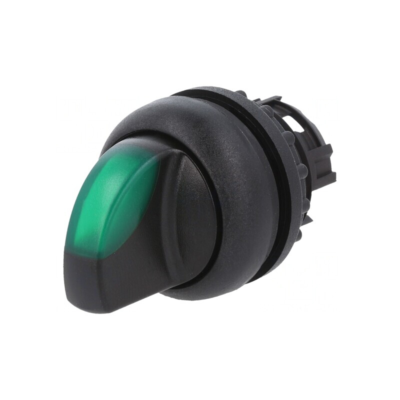 Comutator Rotativ 22mm Verde 2 Pozitii | Electronic-mag.ro | Componente Electronice