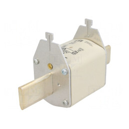 Siguranță ceramică industrială gG 125A 500VAC NH3C | Electronic-mag.ro | Componente Electronice