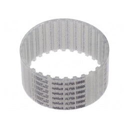 Curea dințată T5 25mm 150mm 30 dinți | Electronic-mag.ro | Componente Electronice