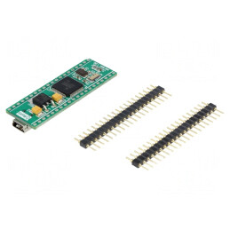 Kituri dezv: ARM Texas | placă prototip | şir pini,USB B micro | MINI-M4 FOR STELLARIS
