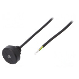 Cititor RFID 12V UNIQUE 1-wire cu LED 28x9mm | Electronic-mag.ro | Componente Electronice