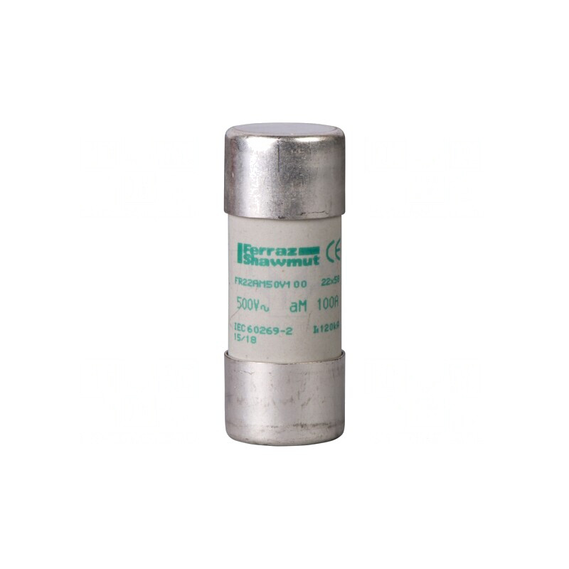 Siguranță Ceramică 40A 690VAC 22x58mm | Electronic-mag.ro | Componente Electronice