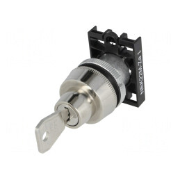 Comutator Rotativ cu Cheie 22mm Gri IP40 | Electronic-mag.ro | Componente Electronice