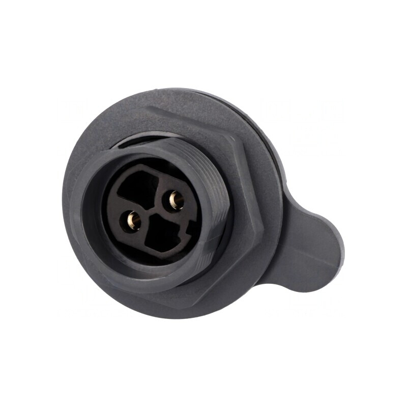 Conector Circular Soclu Mamă 2 Pin Nichelat Buccaneer 7000 | Electronic-mag.ro | Componente Electronice Conector Circular Soclu Mamă 2 Pin Nichelat Buccaneer 7000 | Electronic-mag.ro | Componente Electronice