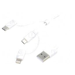 Cablu USB 2.0 1m Alb 480Mbps | Electronic-mag.ro | Componente Electronice