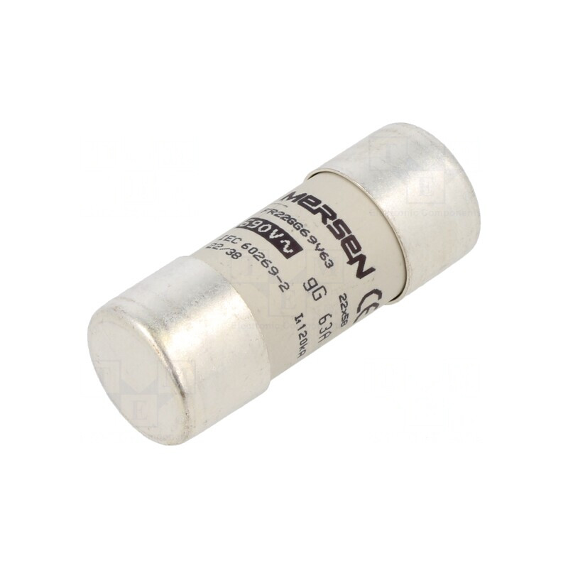 Siguranță Ceramică gG 63A 500VAC 22x58mm | Electronic-mag.ro | Componente Electronice