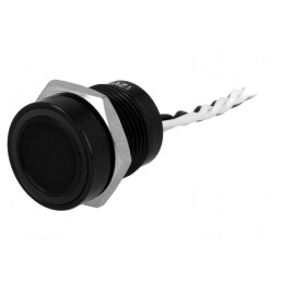 Comutator Piezoelectric PS165P10YBK1W12V 24V 0.2A | Electronic-mag.ro | Componente Electronice