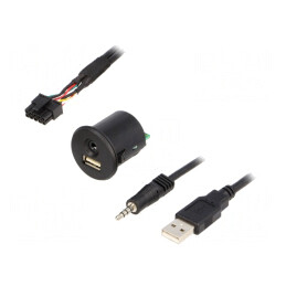 Adaptor USB/AUX Fiat Jack 3,5mm 4pin, USB A | Electronic-mag.ro | Componente Electronice