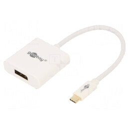 Adaptor USB C la DisplayPort 0.2m Alb