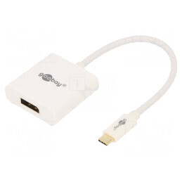 Adaptor USB C la DisplayPort 0.2m Alb | Electronic-mag.ro | Componente Electronice