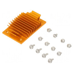 Radiator extrudat cu aripioare BGA aurie 37mm x 58mm | Electronic-mag.ro | Componente Electronice