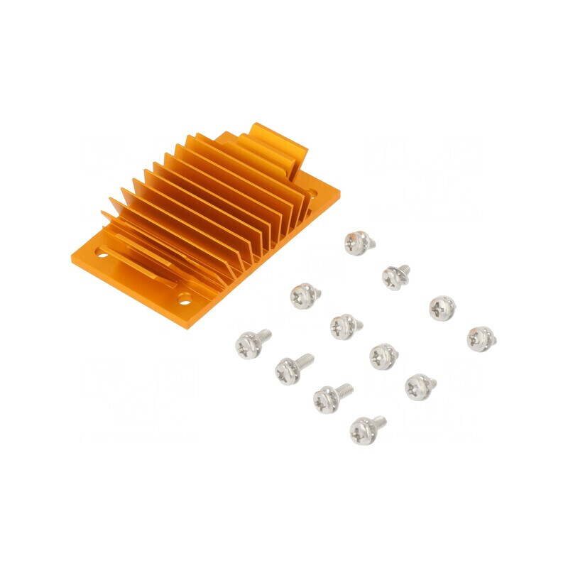 Radiator extrudat cu aripioare BGA aurie 37mm x 58mm | Electronic-mag.ro | Componente Electronice