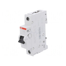 Întrerupător de Supracurent 6A 1P 230/400VAC 6kA | Electronic-mag.ro | Componente Electronice