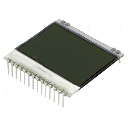Afișaj LCD grafic 102x64 FSTN Positive alb 39x38,1mm PIN 14 | Electronic-mag.ro | Componente Electronice