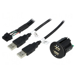 Alimentare auto | USB A soclu x2 | Tens.alim: 12÷24VDC | 5V/2,1A | C0012-USB