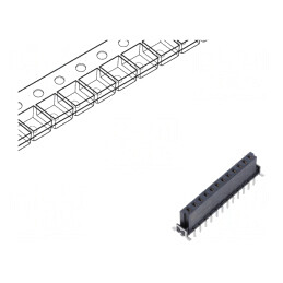 Conector: PCB-PCB | mamă | PIN: 12 | 2,54mm | har-flex® Power | 19A | THT | 15620122701333