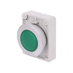Lumină de control RMQ-Titan 30mm IP67 | Electronic-mag.ro | Componente Electronice