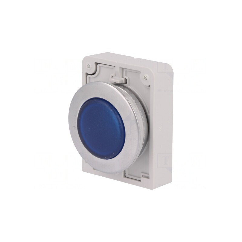 Lumină de control RMQ-Titan 30mm IP67 | Electronic-mag.ro | Componente Electronice