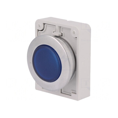 Lumină de control RMQ-Titan 30mm IP67 | Electronic-mag.ro | Componente Electronice