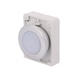 Lumină de Control 30mm RMQ-Titan IP67 | Electronic-mag.ro | Componente Electronice