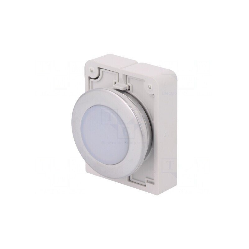 Lumină de Control 30mm RMQ-Titan IP67 | Electronic-mag.ro | Componente Electronice Lumină de Control 30mm RMQ-Titan IP67 | Electronic-mag.ro | Componente Electronice