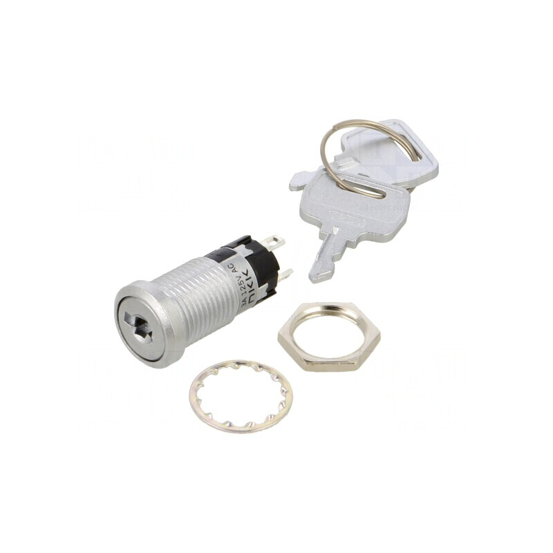 Întrerupător cu cheie 2 poziții SPDT panou | Electronic-mag.ro | Componente Electronice