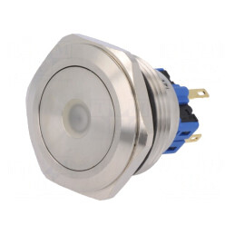 Comutator Anti-Vandalism 2 Poz SPDT 3A/220VAC 5A/24VDC IP65 | Electronic-mag.ro | Componente Electronice