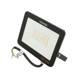 Proiector LED 30W Alb Rece 6500K 120°