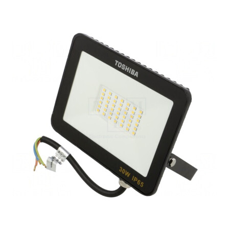 Proiector LED 30W Alb Neutru 4000K IP65 | Electronic-mag.ro | Componente Electronice