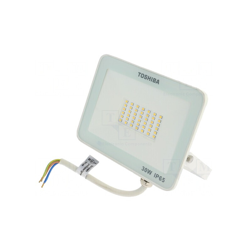 Proiector LED 30W Alb Neutru 4000K IP65 | Electronic-mag.ro | Componente Electronice