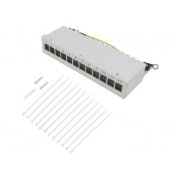 Soclu RJ45 Keystone Gri Clichet Mamă | Electronic-mag.ro | Componente Electronice