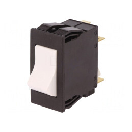 Întrerupător de Supracurent 240VAC 60VDC 10A DPST MCB | Electronic-mag.ro | Componente Electronice