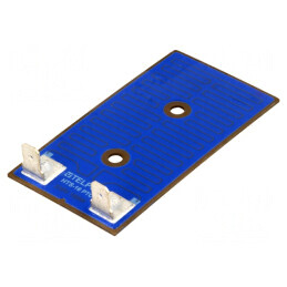 Rezistor de Încălzire Thick Film 100W Oțel | Electronic-mag.ro | Componente Electronice