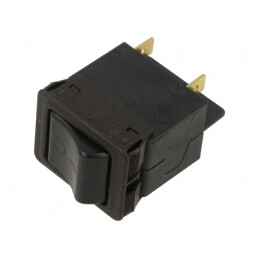 Întrerupător de supracurent 240VAC 6A DPST 2 Poli | Electronic-mag.ro | Componente Electronice