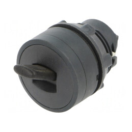 Comutator Basculant 22mm Negru 2 Pozitii | Electronic-mag.ro | Componente Electronice