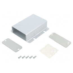 Carcasă gri cu panou și lame de fixare 54x80mm | Electronic-mag.ro | Componente Electronice