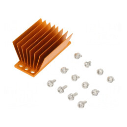 Radiator extrudat cu aripioare BGA, aurie 58mm x 23mm | Electronic-mag.ro | Componente Electronice