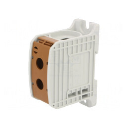 Conector Îmbinare Șine 185mm2 1 Pista 2 Borne Maro | Electronic-mag.ro | Componente Electronice