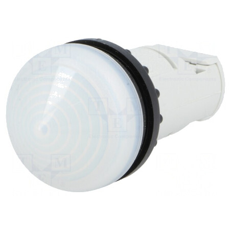 Lumină de control albă 22mm IP67 RMQ-Titan | Electronic-mag.ro | Componente Electronice