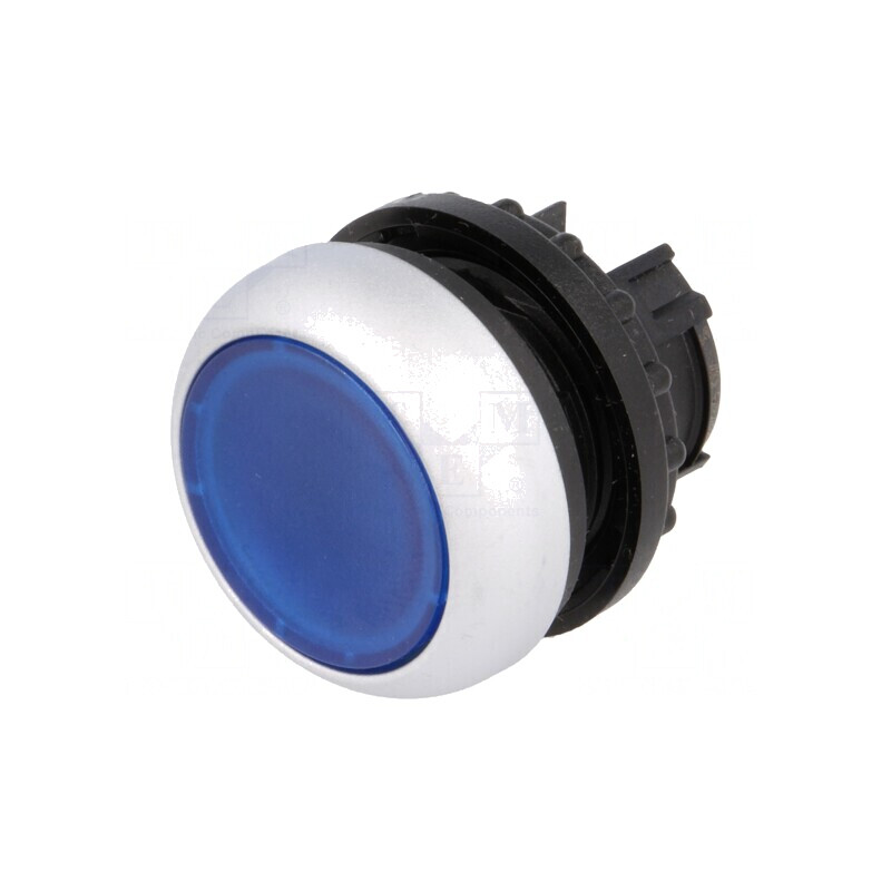 Comutator apăsare 22mm albastru 2 poziții | Electronic-mag.ro | Componente Electronice