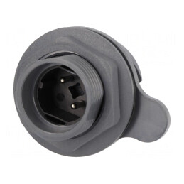 Conector Circular Soclu Tată 2 PIN Nichelat Buccaneer 7000 | Electronic-mag.ro | Componente Electronice